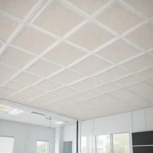 Read more about the article Acoustic Ceiling Tiles Manufacturing Plant 2024: Business Plan, Project Report, Plant Setup and Industry Trends