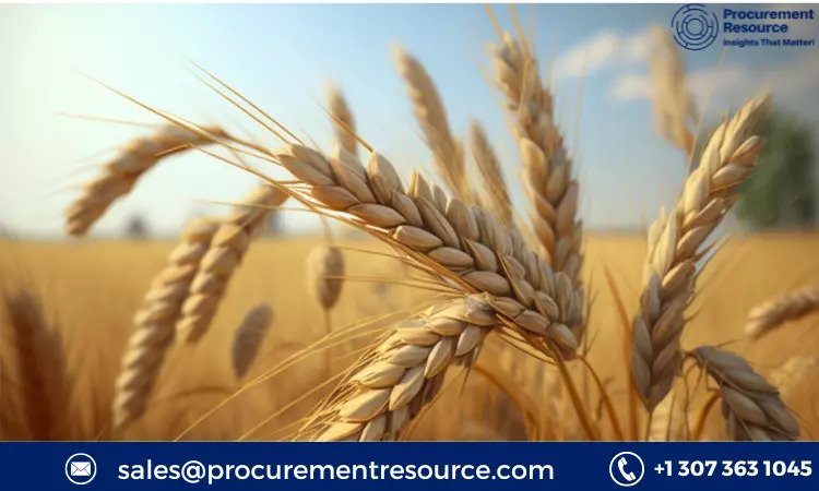 Durum Wheat Prices
