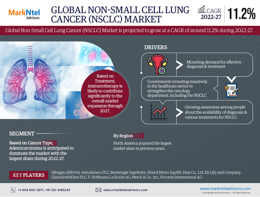 Non-Small Cell Lung Cancer Market