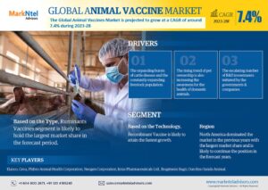 Read more about the article Animal Vaccine Market Growth Rate, Historical Data, Geographical Lead, Top Companies and Industry Segment